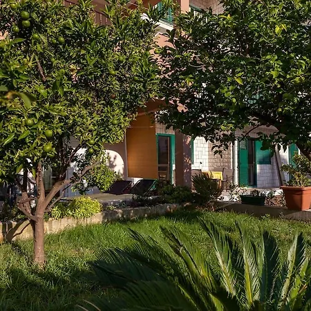 Sanja Suta Podstrana